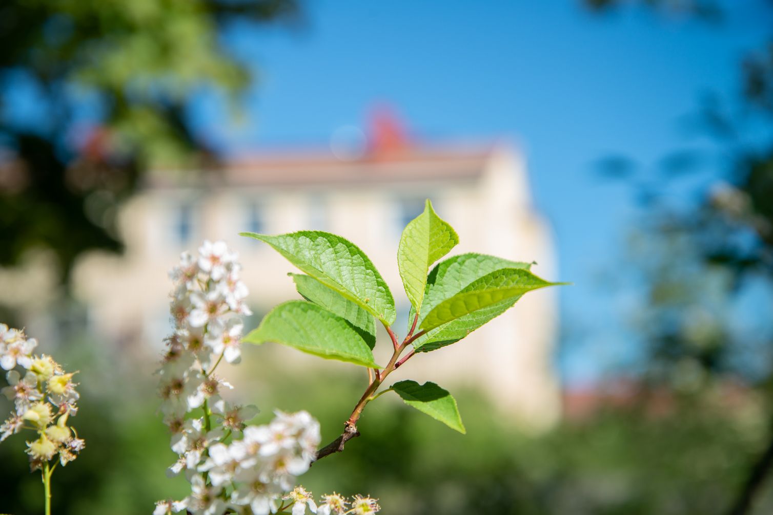 Bäckvägen 58-60_3